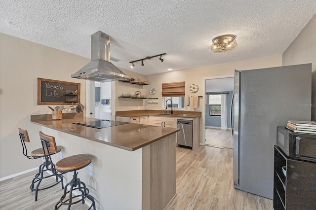 kitchen featuring sink, light hardwood / wood-style flooring, appliances with stainless steel finishes, kitchen peninsula, and island exhaust hood