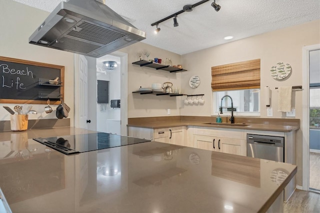 kitchen with dishwasher, a textured ceiling, island range hood, and sink