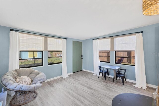 living area featuring light hardwood / wood-style flooring