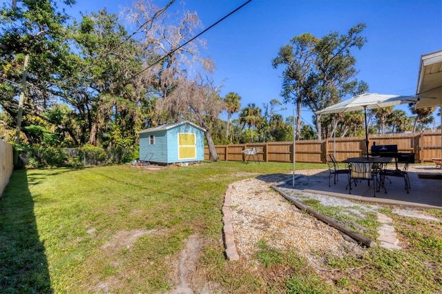 view of yard featuring a patio area and a storage unit