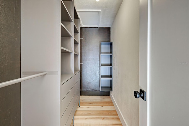 spacious closet featuring light hardwood / wood-style floors