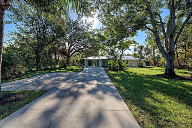 ranch-style house with a front lawn