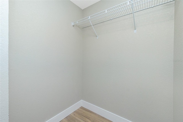 spacious closet featuring wood-type flooring