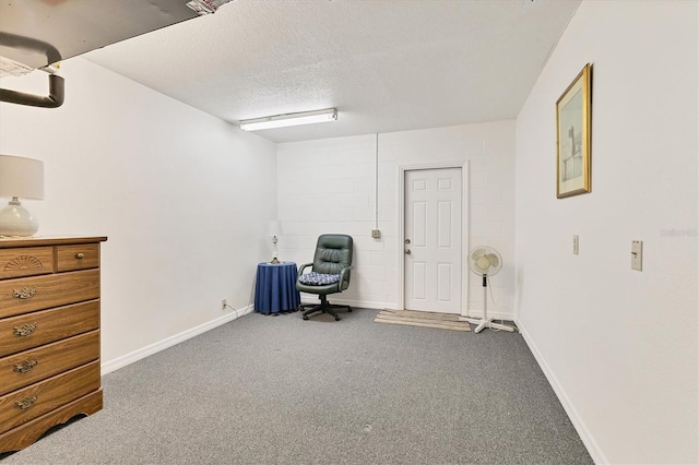 living area with carpet flooring and a textured ceiling