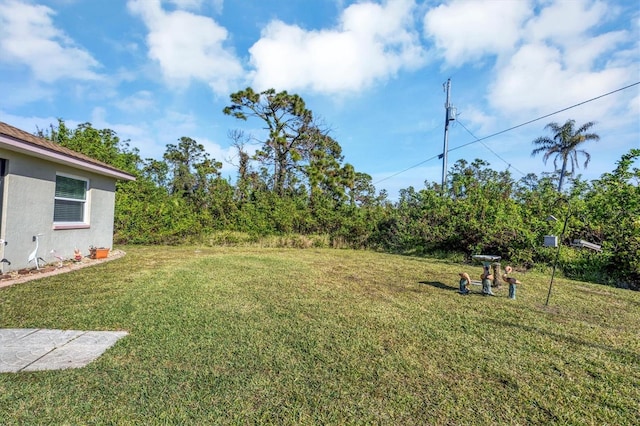 view of yard