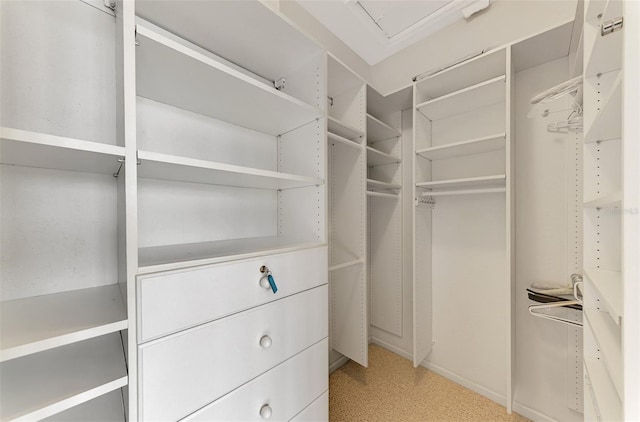 spacious closet with light colored carpet