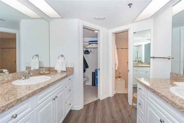 bathroom featuring wood-type flooring and vanity