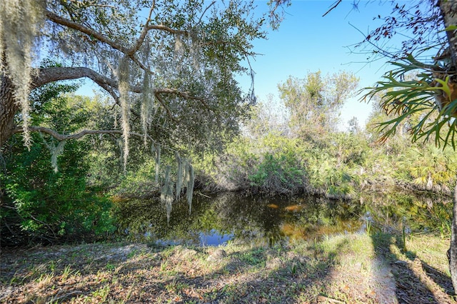 view of local wilderness with a water view