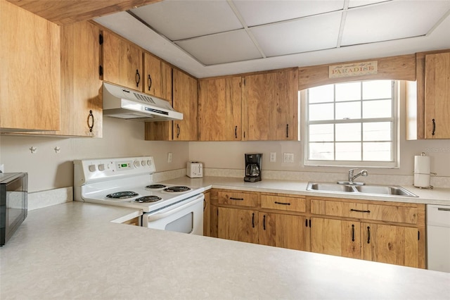 kitchen featuring white appliances, a paneled ceiling, and sink