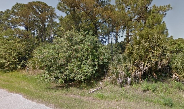 1105 Cabot St, Port Charlotte FL, 33953 land for sale