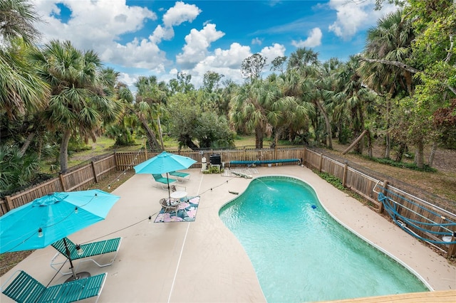 view of pool featuring a patio area