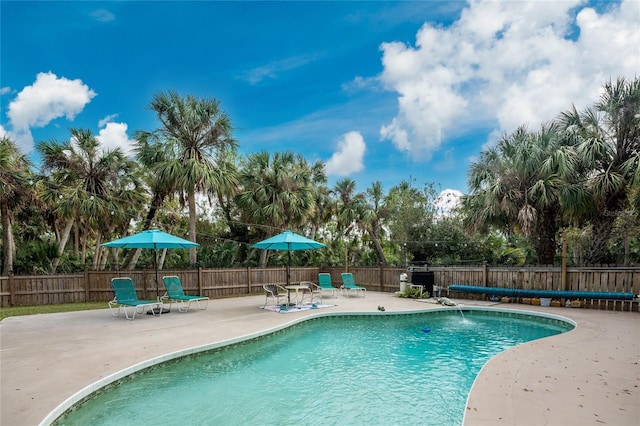 view of swimming pool featuring a patio area