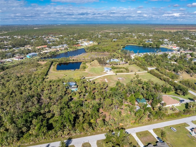 6341 Biggs St, Englewood, FL 34224 - aerial view of property's location featuring a large body of water