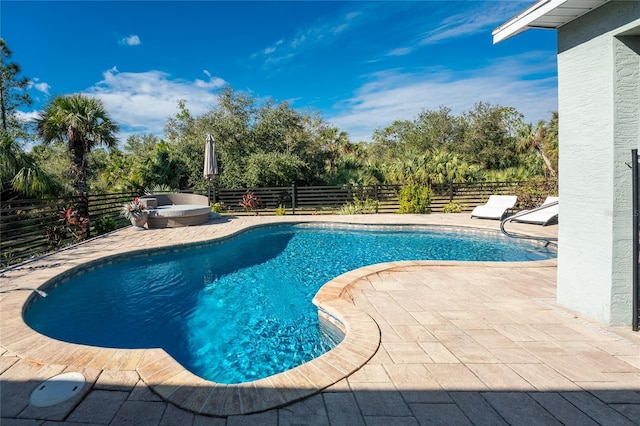 view of pool with a patio