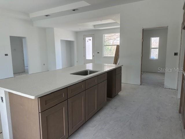 kitchen with sink, a tray ceiling, and a kitchen island