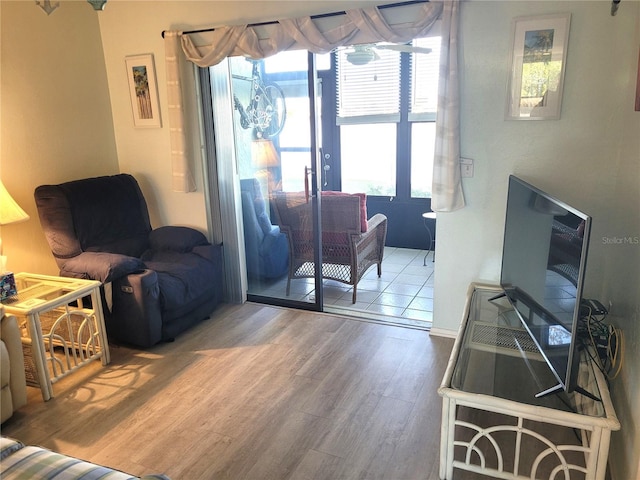 living room with hardwood / wood-style floors