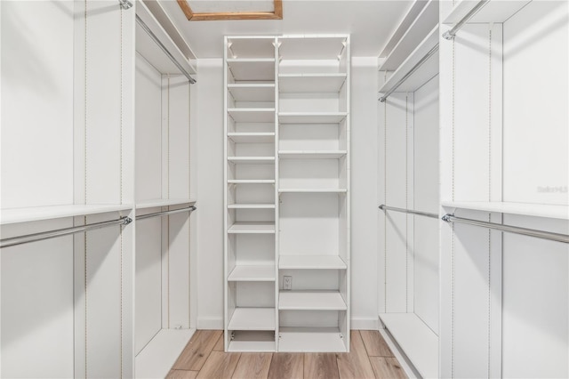 spacious closet featuring light wood-type flooring