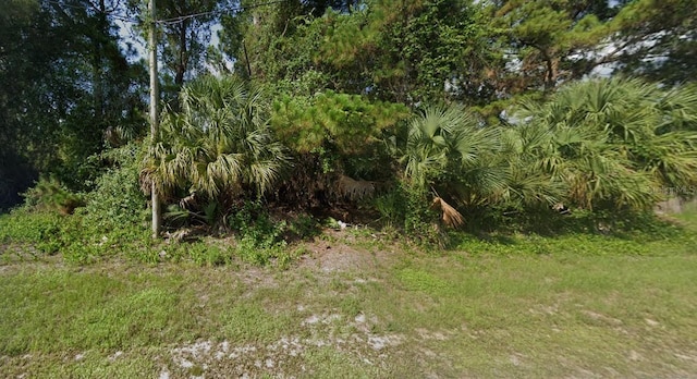 Wenona Dr, North Port FL, 34288 land for sale