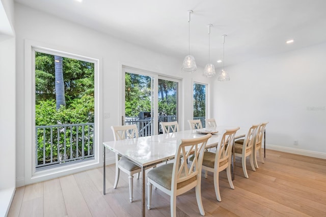 dining room with a wealth of natural light and light hardwood / wood-style flooring