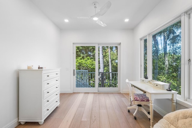 office area featuring a wealth of natural light, ceiling fan, and light wood-type flooring