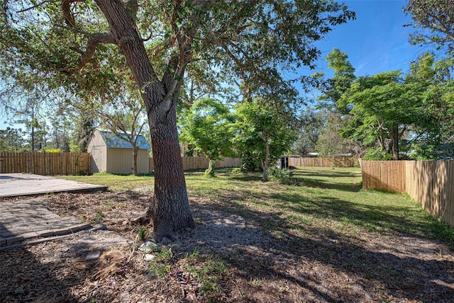 view of yard featuring a storage unit