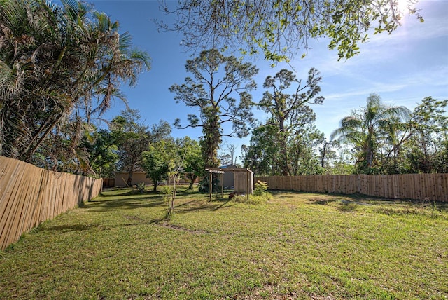 view of yard featuring a storage shed