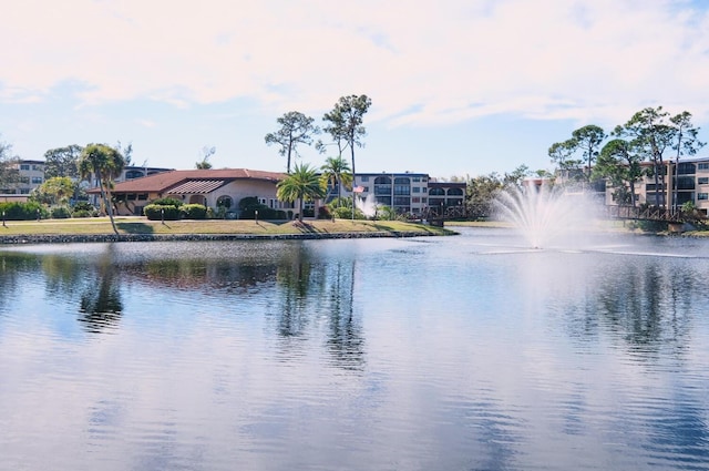 view of water feature