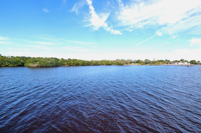 property view of water