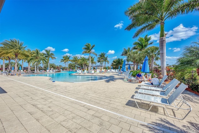 view of swimming pool featuring a patio area