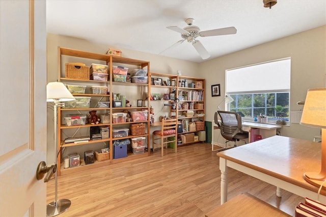 office space with light hardwood / wood-style floors and ceiling fan