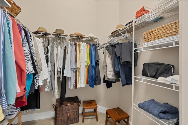 walk in closet with carpet flooring