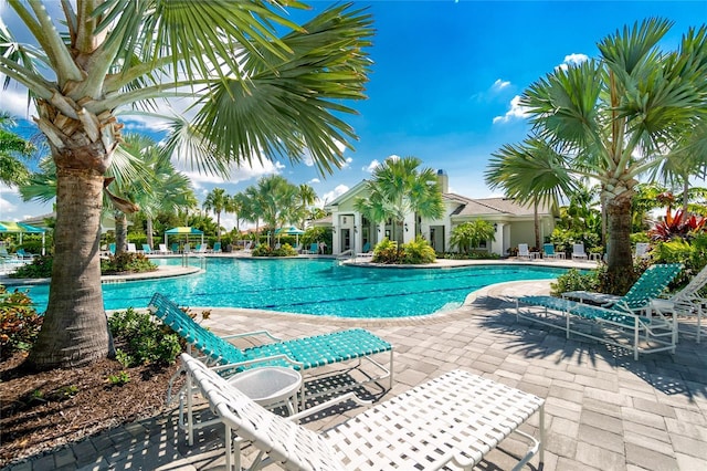 view of swimming pool with a patio area