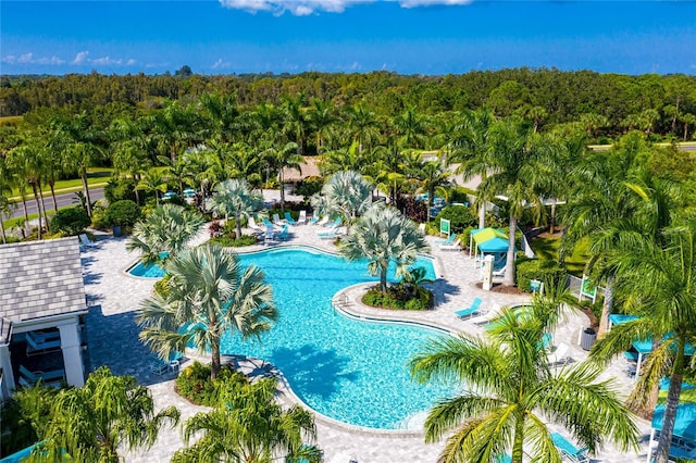 view of pool with a patio area