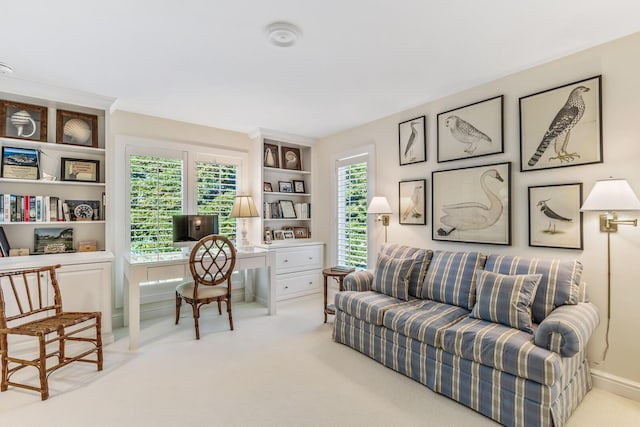 home office with light carpet