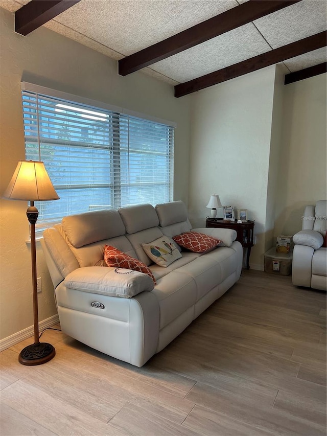 living room with beam ceiling, a healthy amount of sunlight, a textured ceiling, and light wood-type flooring