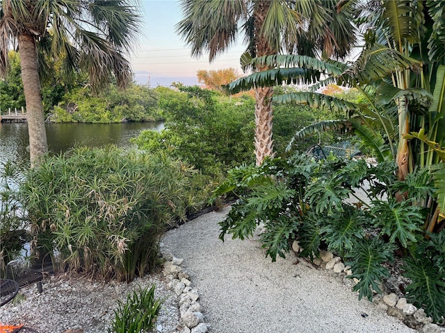 yard at dusk with a water view