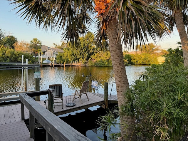 dock area with a water view