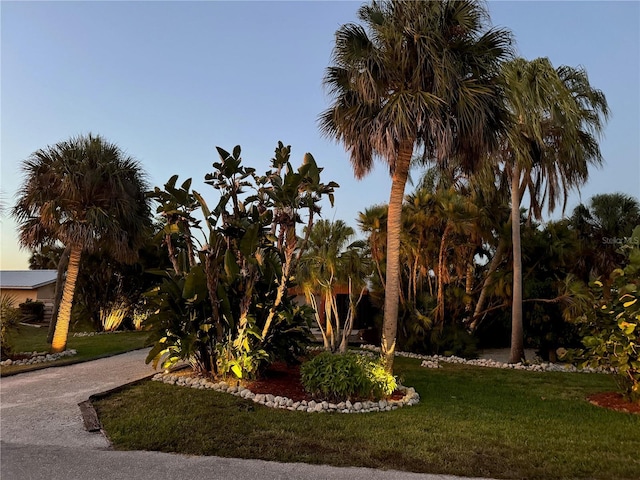 view of yard at dusk