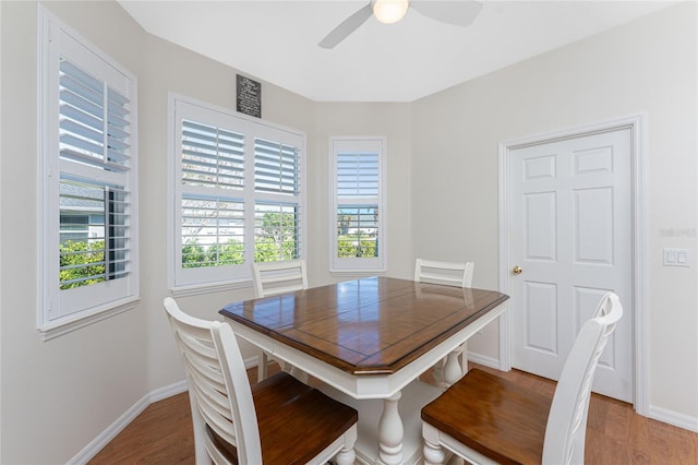 dining room featuring hardwood / wood-style floors, a wealth of natural light, and ceiling fan