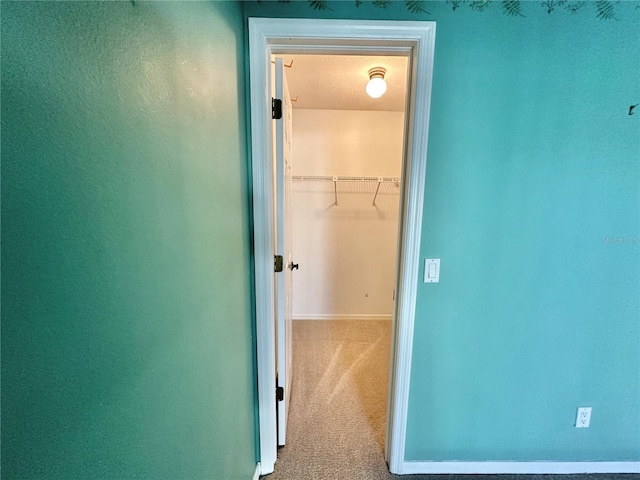 hallway with carpet flooring