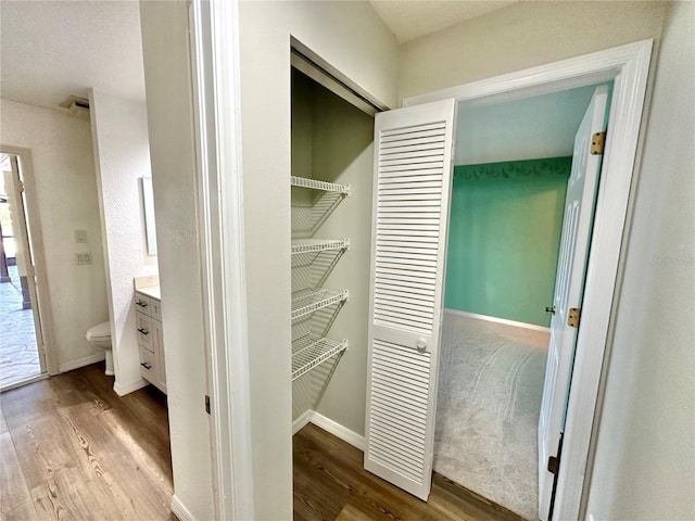 view of closet