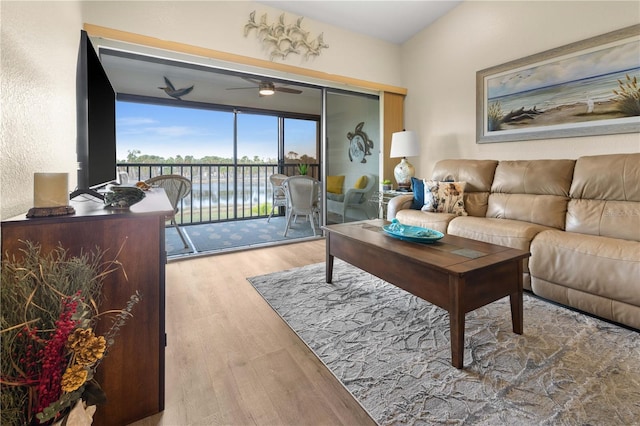 living room with ceiling fan and hardwood / wood-style flooring