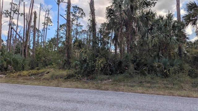 17421 Dudley Ave, Port Charlotte, FL 33954 - photo 1