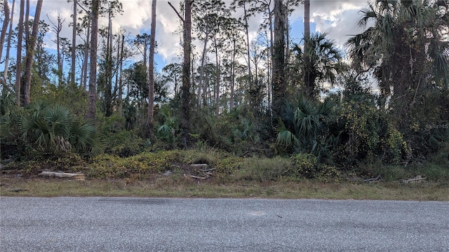 17421 Dudley Ave, Port Charlotte, FL 33954 - photo 3