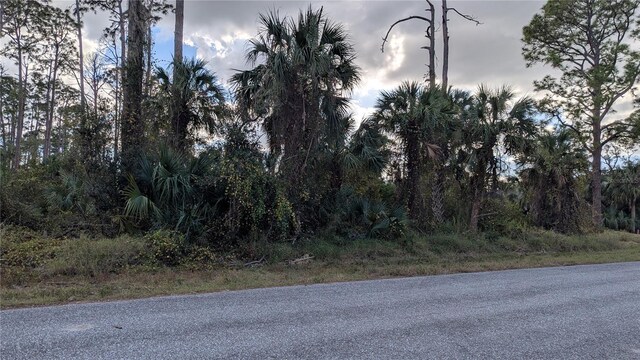 17421 Dudley Ave, Port Charlotte, FL 33954 - photo 2