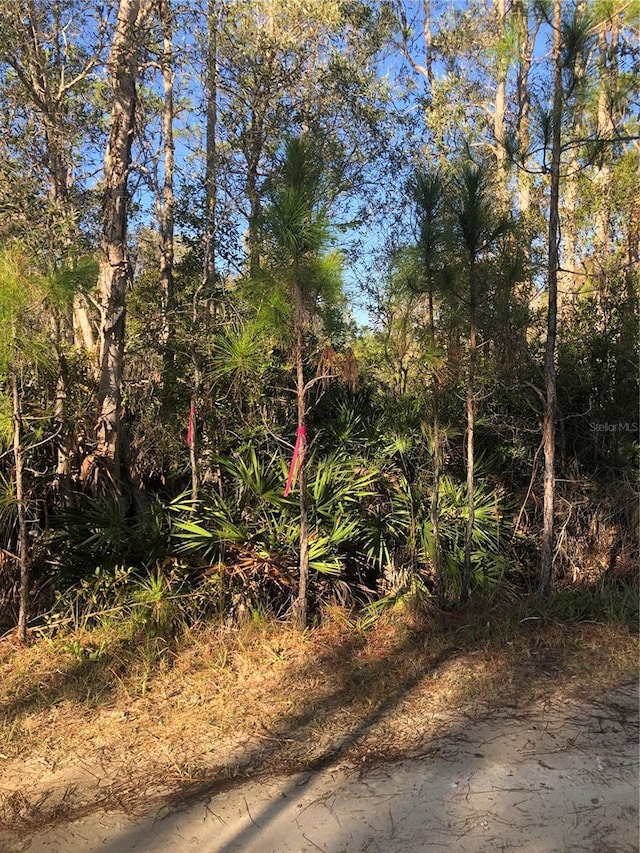 Listing photo 2 for 32340 Oil Well Rd, Punta Gorda FL 33955