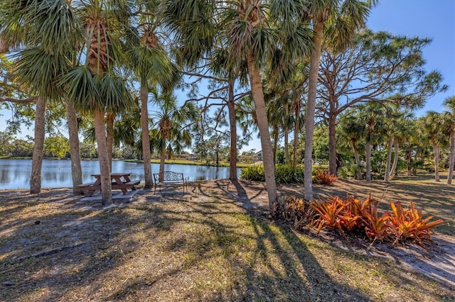 view of yard with a water view