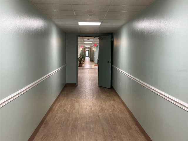 corridor with light hardwood / wood-style floors and a drop ceiling