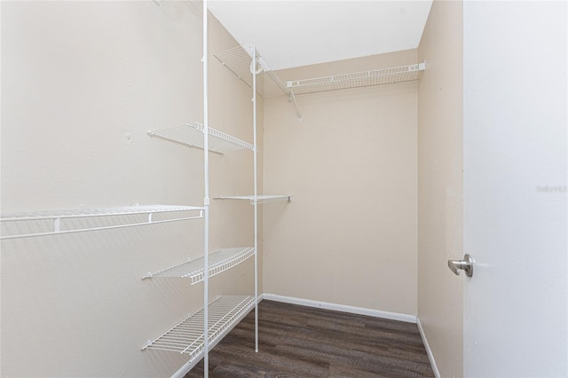 walk in closet featuring dark hardwood / wood-style flooring