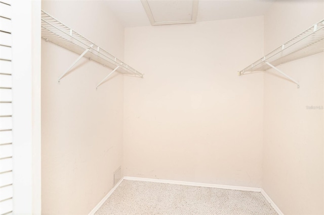 spacious closet featuring carpet floors